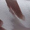 Sail/Moon Particle/Mink Brown