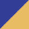 Gray/Orange/Yellow/White