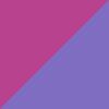 Purple/Gold