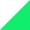 White/Green Apple