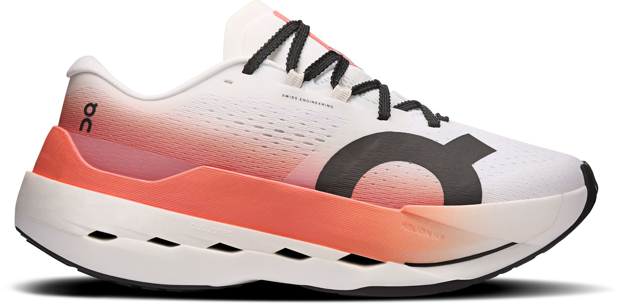 White/Reef