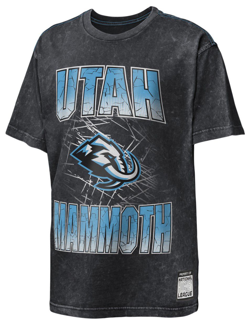 NHL Boys' Utah Mammoth Black 'Time To Shine' T-Shirt