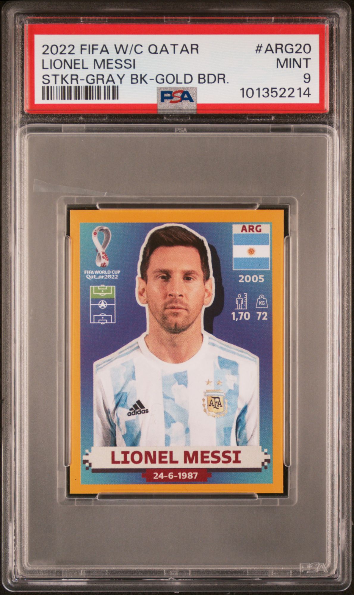 Panini Soccer Cards