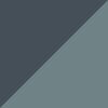 Blue Sage