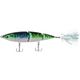 Whacky Mackerel