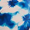 Blue Tie Dye