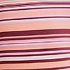 Fruit Punch Stripe