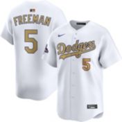 Nike Youth Los Angeles Dodgers 2024 City Connect Shohei