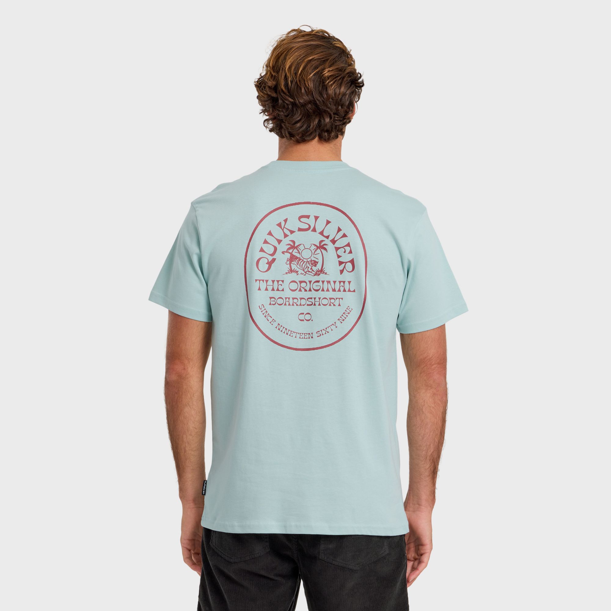 Quiksilver Men's In the Wild T-Shirt