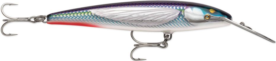 Armored Flying Fish