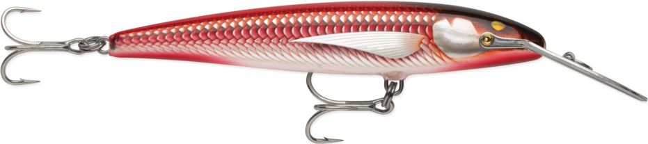 Armored Real Red Bait