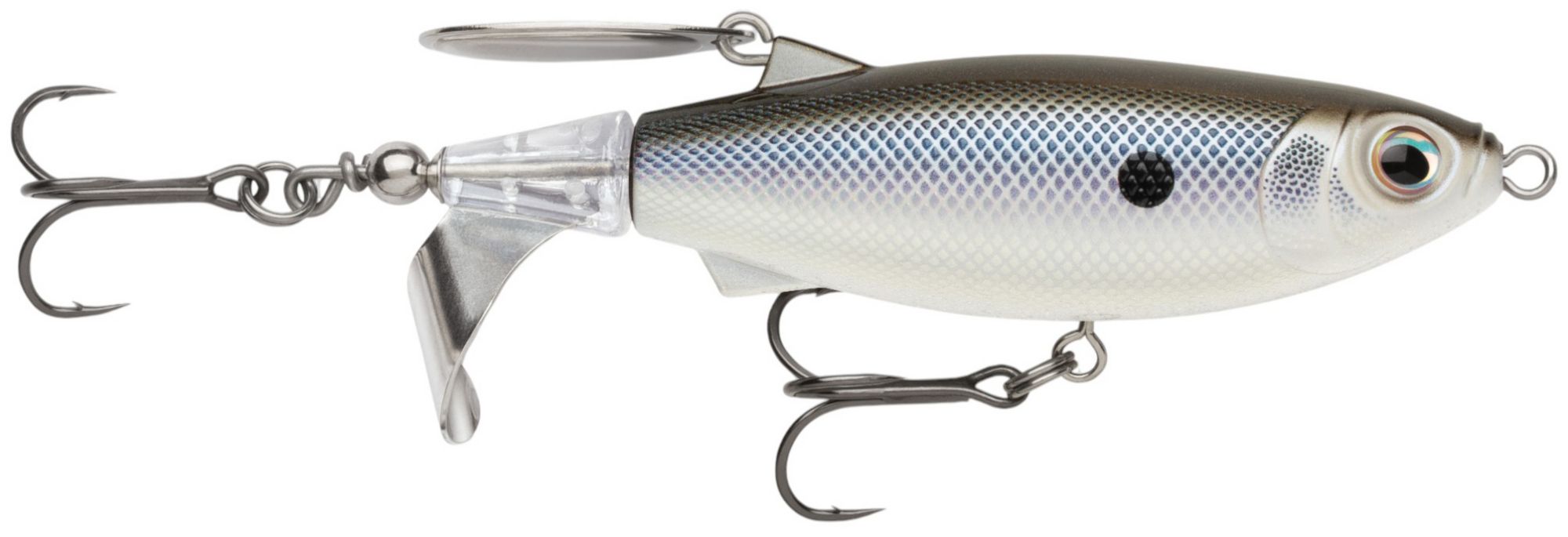 Black Back Shad