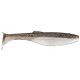 Gizzard Shad