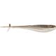 Gizzard Shad
