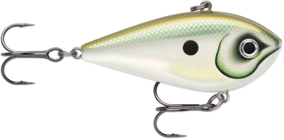 Green Gizzard Shad
