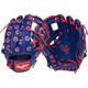 Cubs-Home