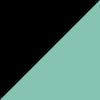 Black/Mint