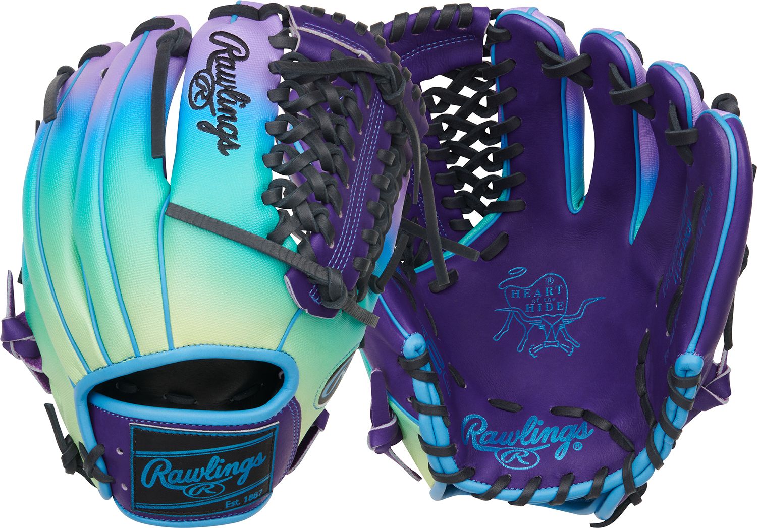 Purple/Blue