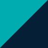 Teal/Navy