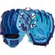 Blue/Purple