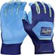 Blue/Purple