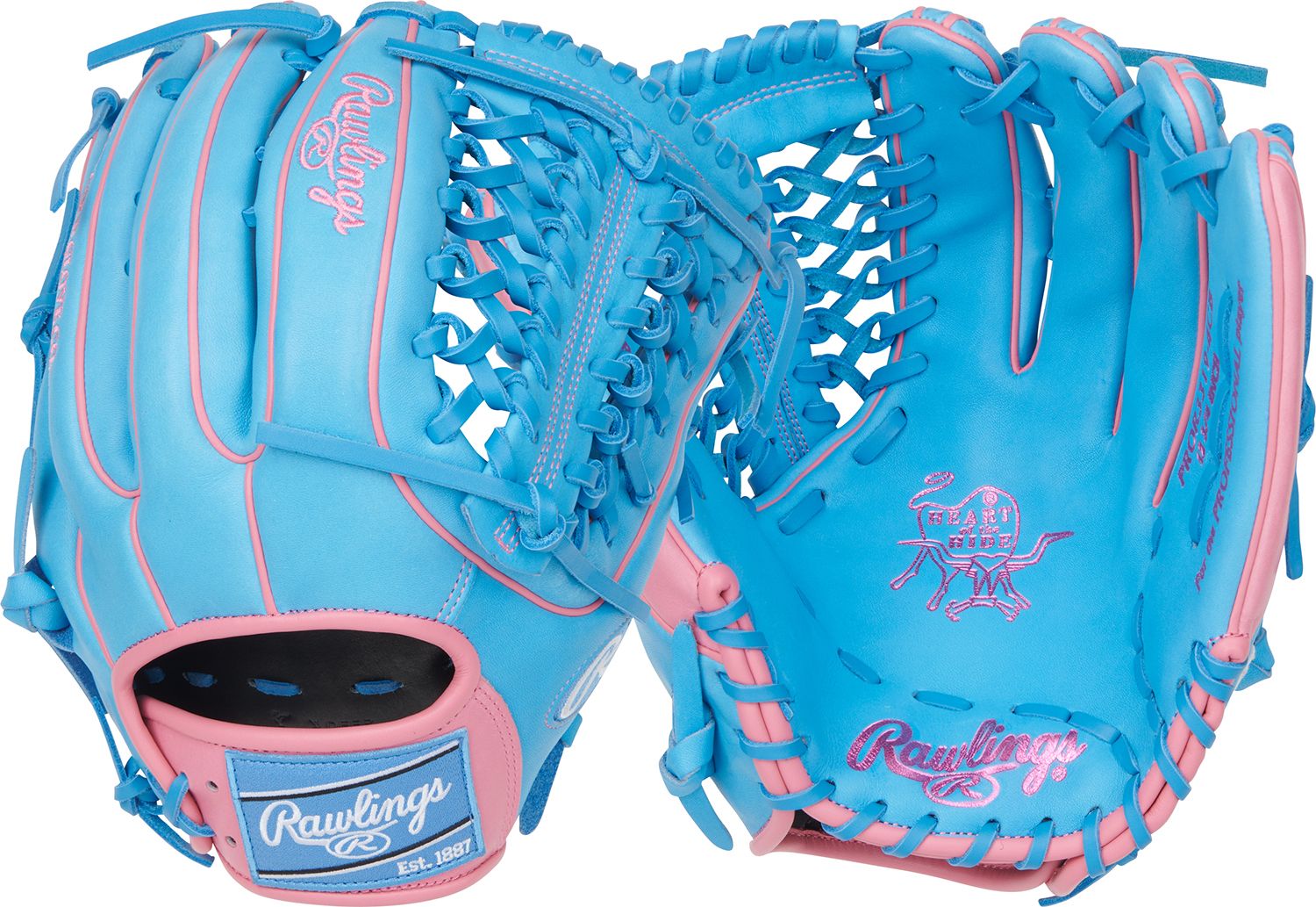 Blue/Pink