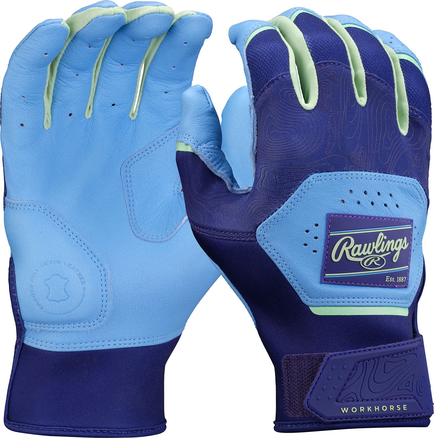Blue/Purple
