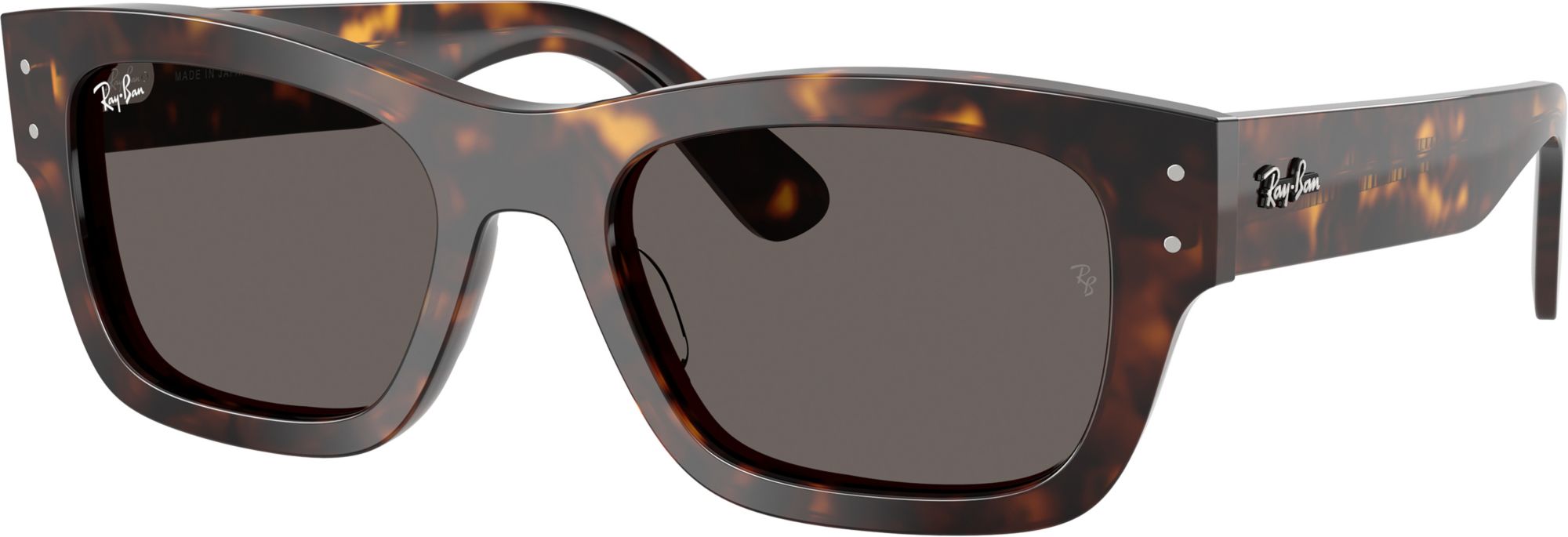 Ray-Ban Joseph Sunglasses