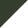 Matte Black/Transitions Graphite Green