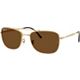 Polar Brown
