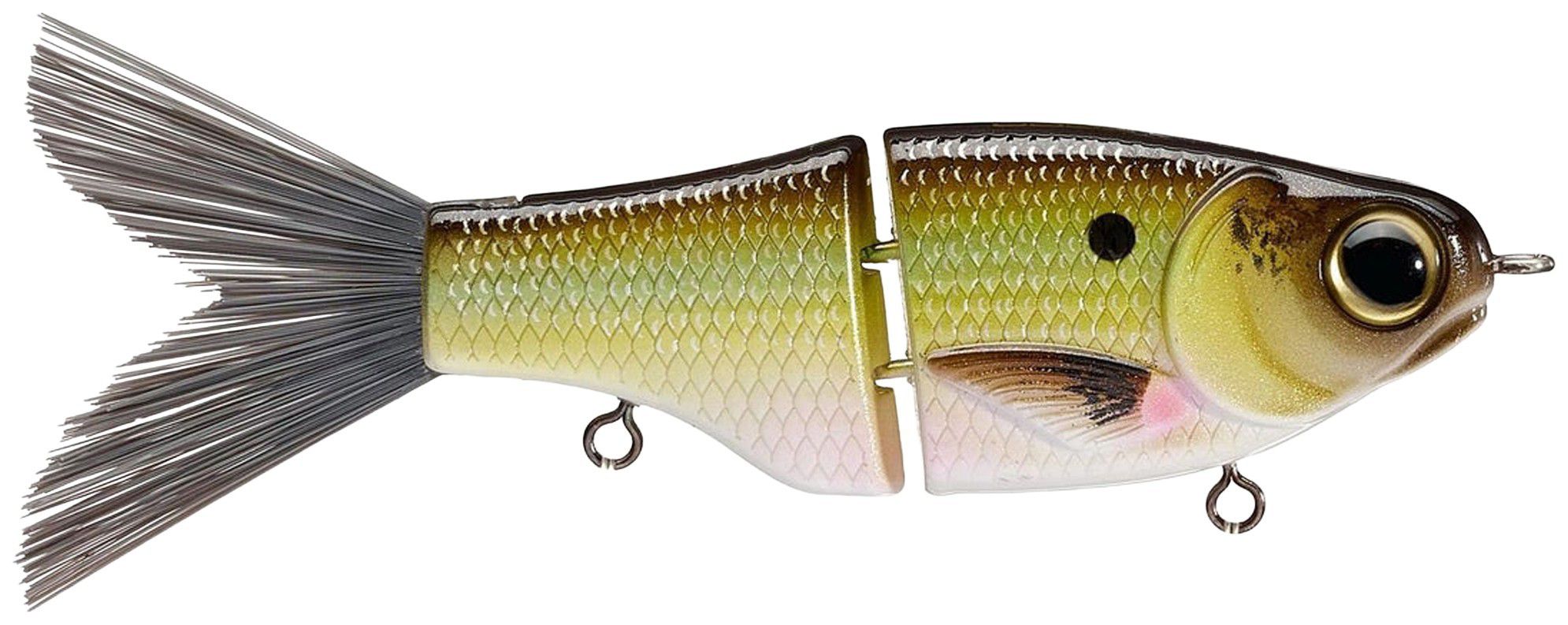 Grand Shad