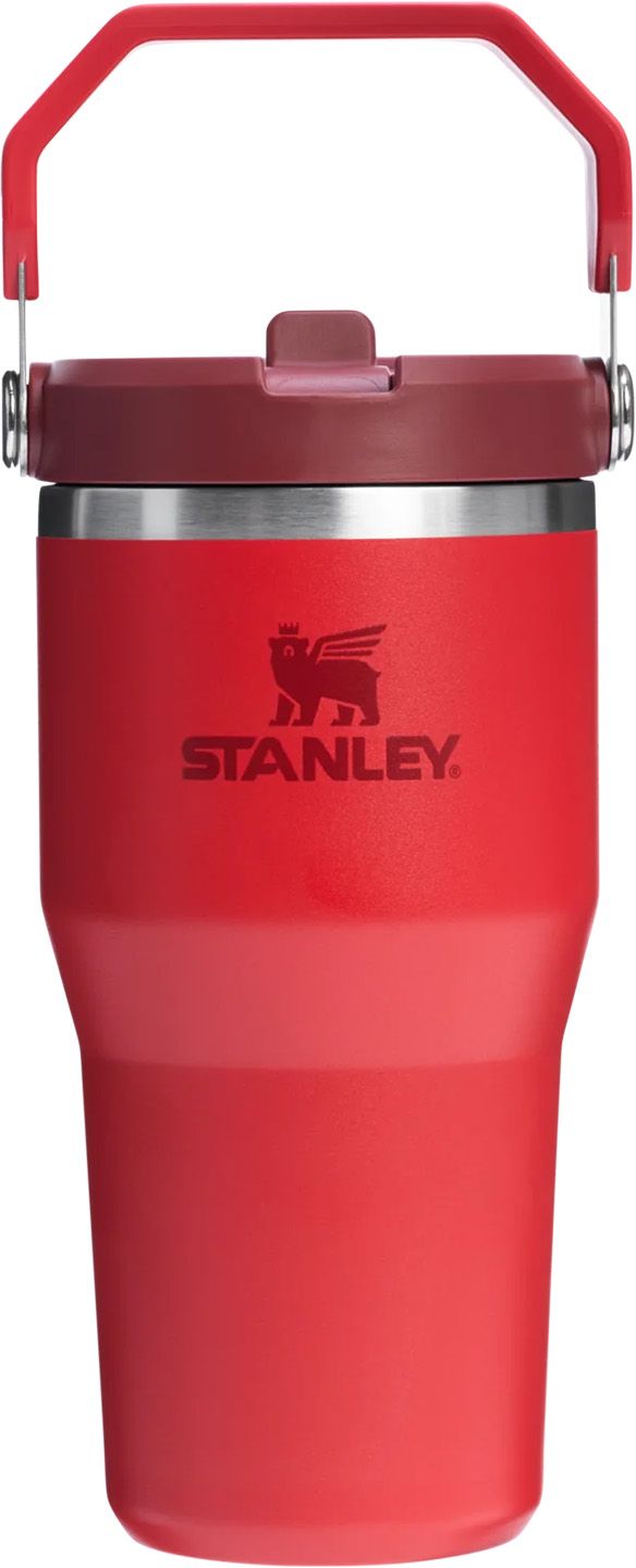 Stanley 20 oz. IceFlow 2.0 Flip Straw Tumbler