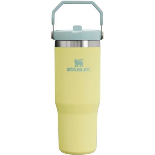 Stanley 30 oz. IceFlow 2.0 Flip Straw Tumbler