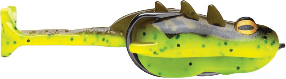 Leopard Frog