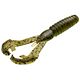 Summer Craw
