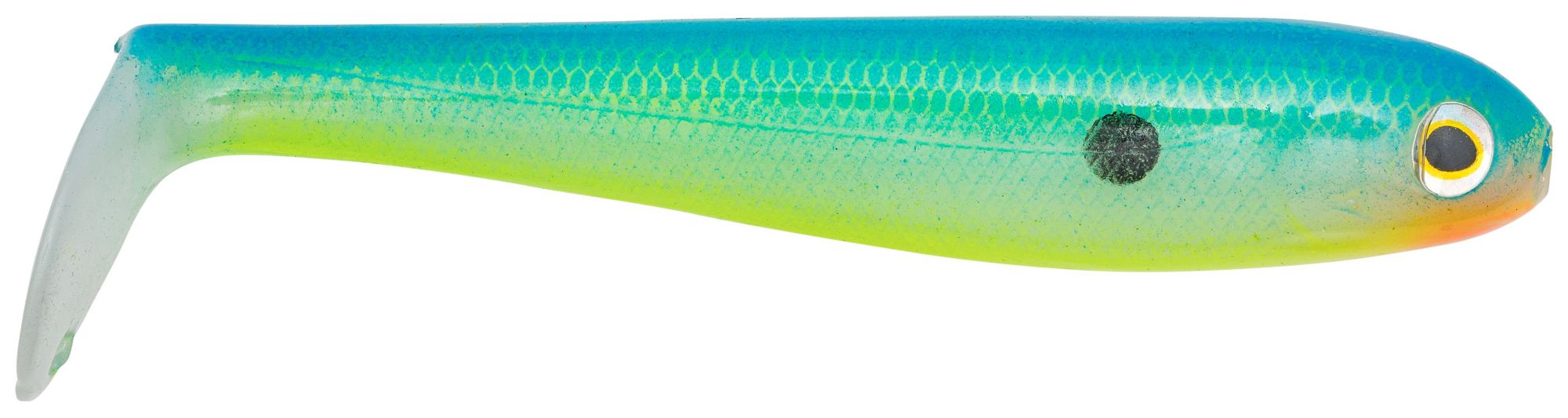 Citrus Shad
