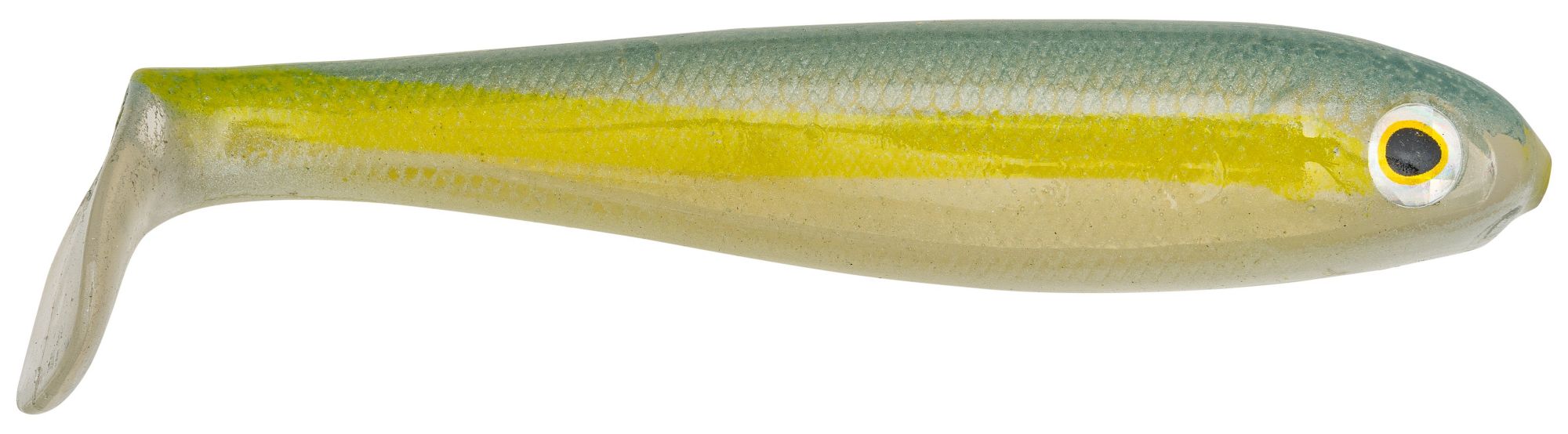 Sexy Black Back Herring