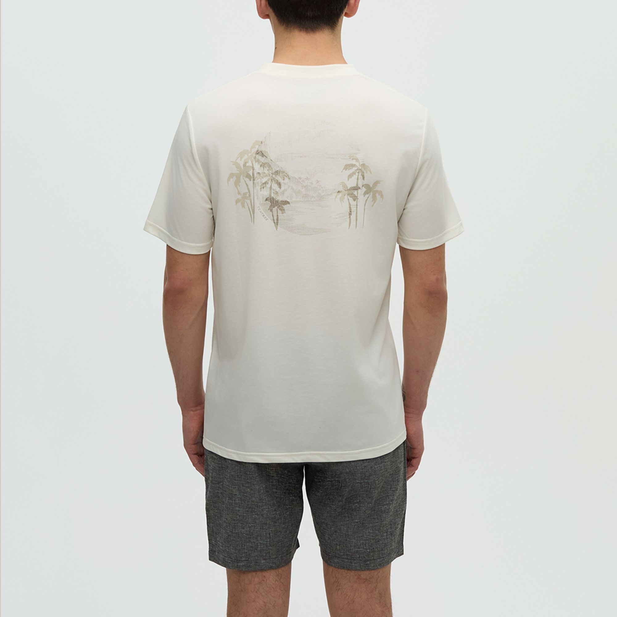 tentree Men's Haiti Palm Overlay Short Sleeve T-Shirt