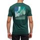 Forest Pine/Aurora Trln