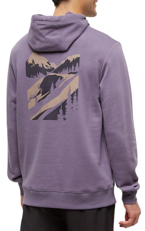 Smokey Violet/Silver Ln