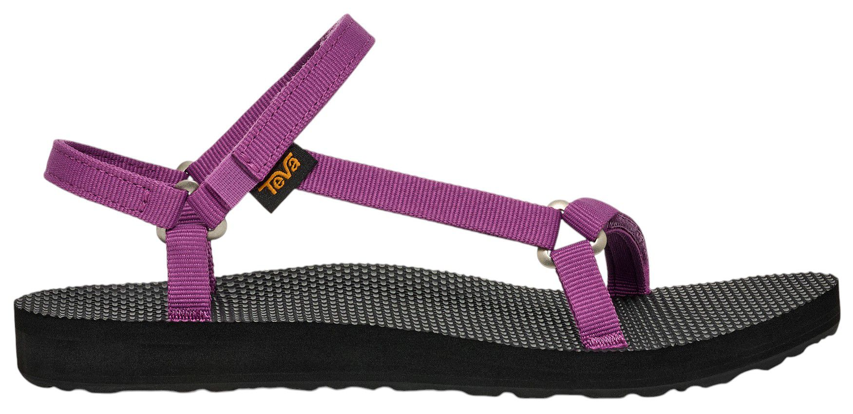 Striking Purple