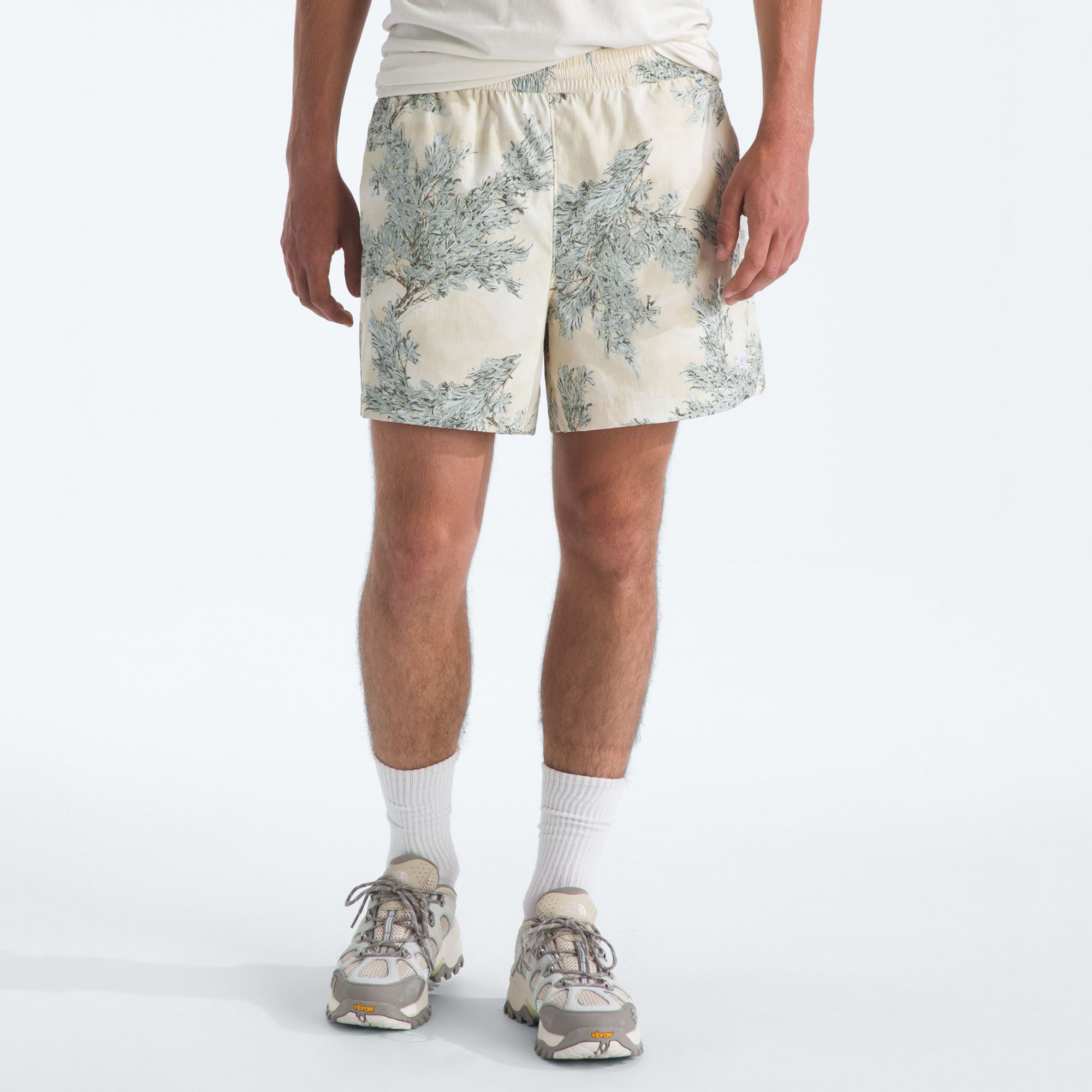 The North Face Men's Class V 5" Shorts