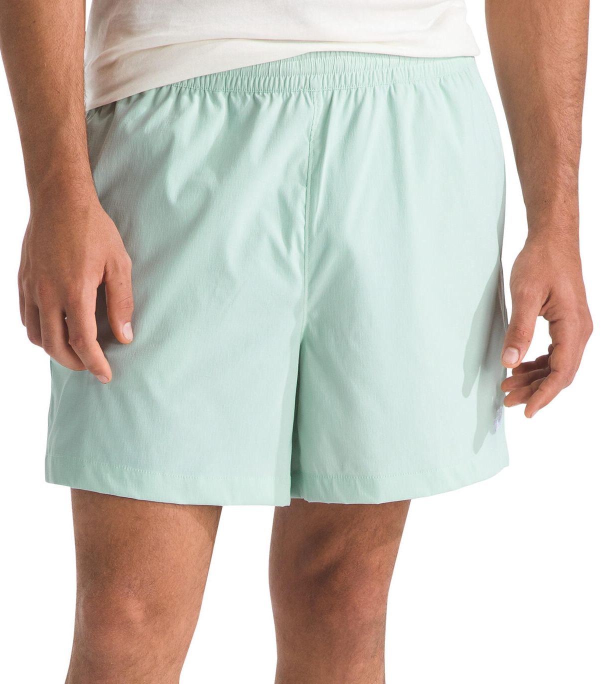The North Face Men's Class V 5" Shorts