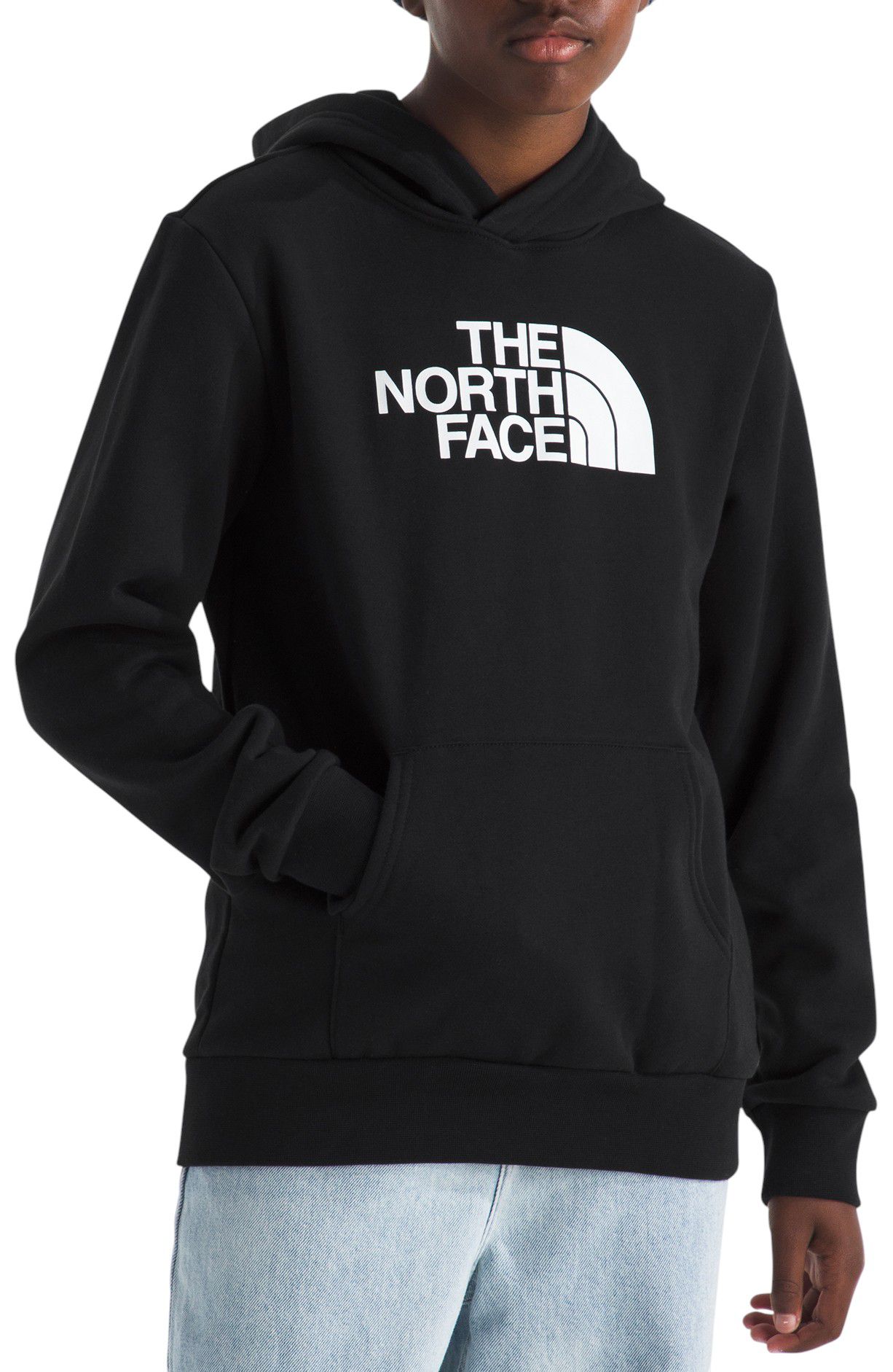 The North Face Kids' Evolution Half Dome Hoodie