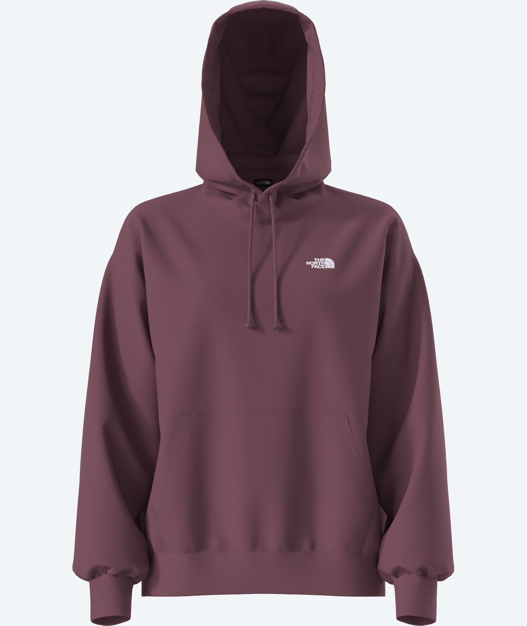 The North Face Women's Evolution Oversized Hoodie