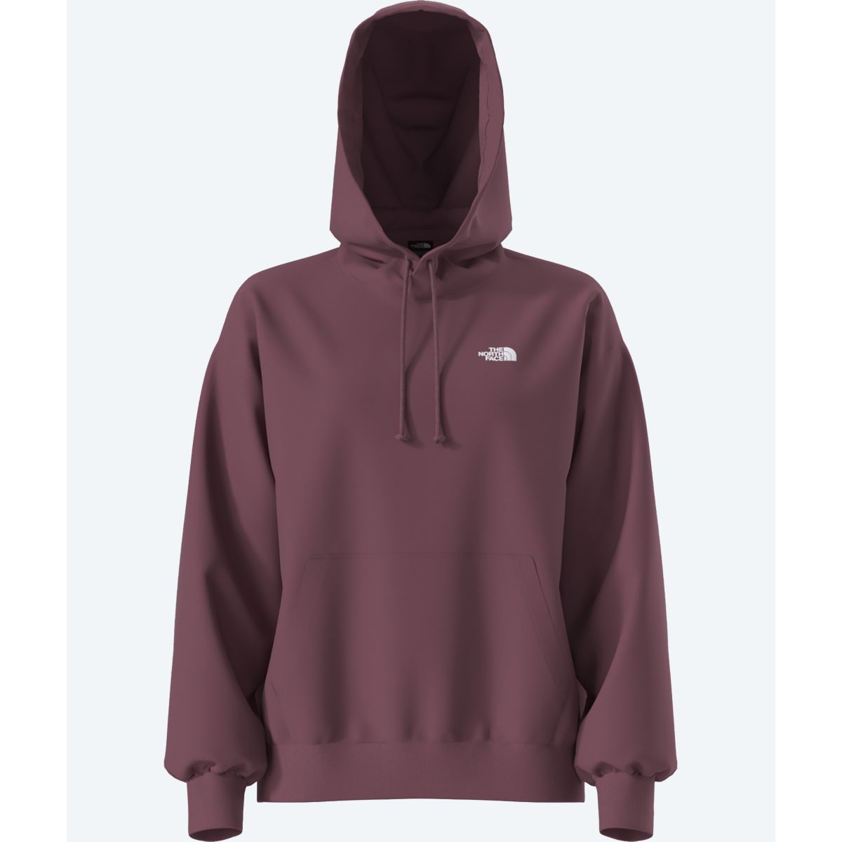 The North Face Women's Evolution Oversized Hoodie