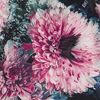 Pale Blossom Frozen Floral Print