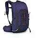 Deep Fig/Hotspot Pink