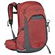 Red Pampass/Coal Grey