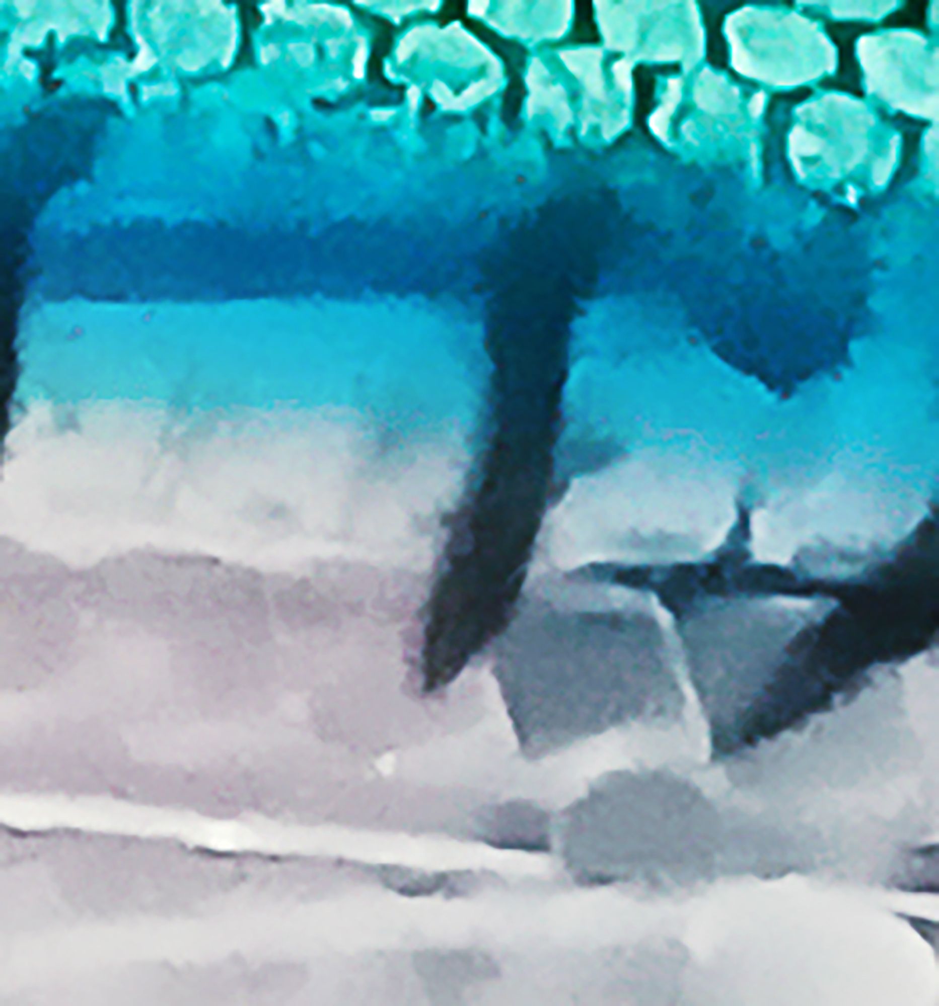 Blue Mackerel